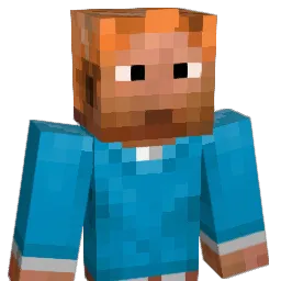 11ray11 Minecraft avatar bust