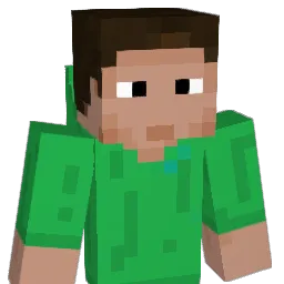 12335 Minecraft avatar bust