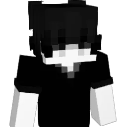 123456898 Minecraft avatar bust