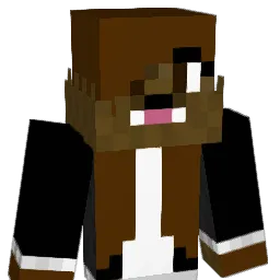 1234demi1234 Minecraft avatar bust