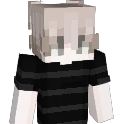 123BIN123 Minecraft avatar bust