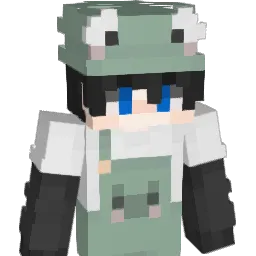 123afsd Minecraft avatar bust