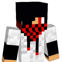 123sean2 Minecraft avatar bust
