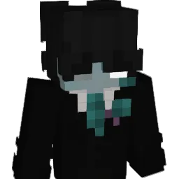 shielduserr's skin