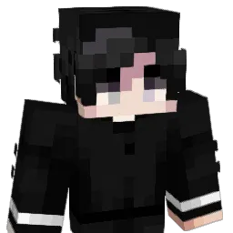 12LT Minecraft avatar bust
