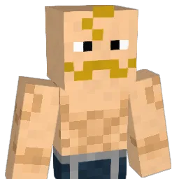 1337Lexa1337 Minecraft avatar bust