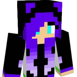 1353555's Minecraft skin