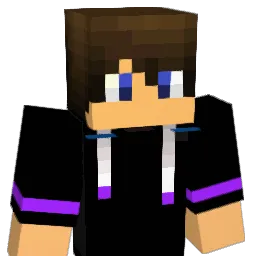 13_Meister Minecraft avatar bust