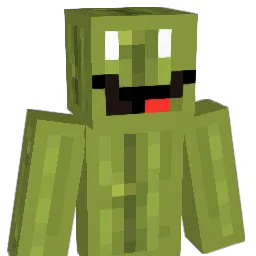 144P20HZ Minecraft avatar bust