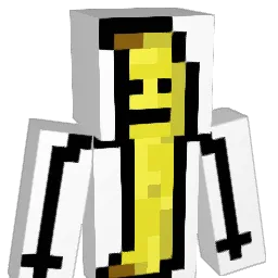 15cooler Minecraft avatar bust