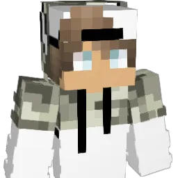 1610Vader02 Minecraft avatar bust