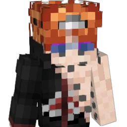 Picx_'s skin