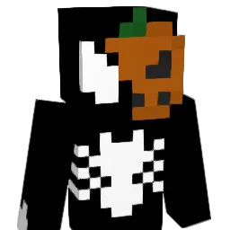 168po Minecraft avatar bust