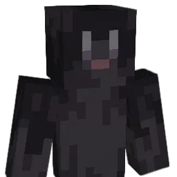 16GD Minecraft avatar bust