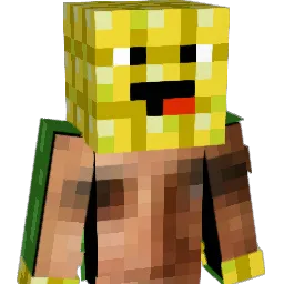 16harry_walker08 Minecraft avatar bust