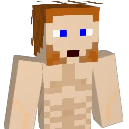 172033 Minecraft avatar bust