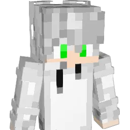 177777 Minecraft avatar bust