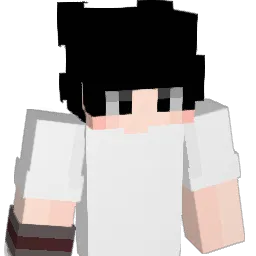 17n1jx Minecraft avatar bust