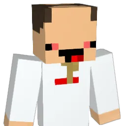17pm Minecraft avatar bust