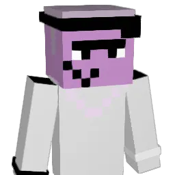 17starsz Minecraft avatar bust