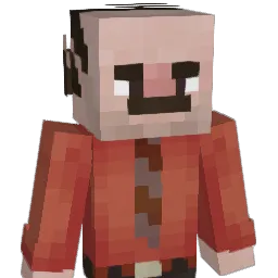 17zl Minecraft avatar bust
