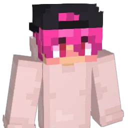 EinsDinoRawwr