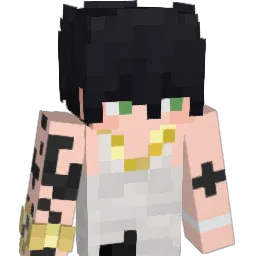 Sancionw's skin