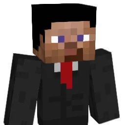 1996tom1996 Minecraft avatar bust