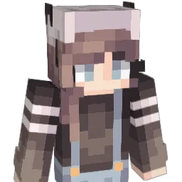 1D1's Minecraft skin
