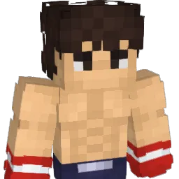 1DGero0 Minecraft avatar bust