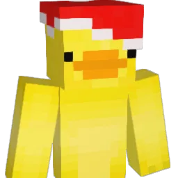 1DR_Duck Minecraft avatar bust
