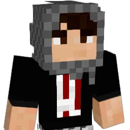 1Element4L_ Minecraft avatar bust