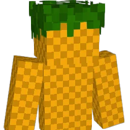 1FruitWizard1's Minecraft skin