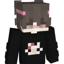 1HgShot Minecraft avatar bust