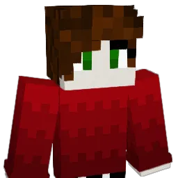 1NS4N1TY22 Minecraft avatar bust