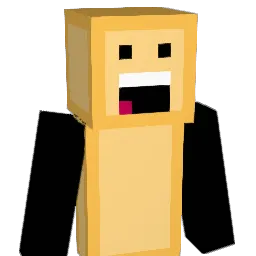 1SESH1 Minecraft avatar bust