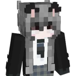 1SHY1 Minecraft avatar bust
