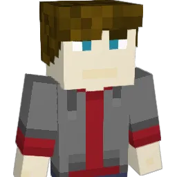 1SilentStranger1 Minecraft avatar bust