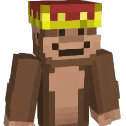 1Skyys Minecraft avatar bust