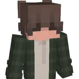 1SoulFlare Minecraft avatar bust