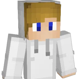 1Stocki