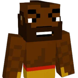 1XeLa_ Minecraft avatar bust