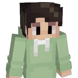 1_DoroTI_1 Minecraft avatar bust