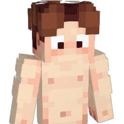 1_IO_OI_1 Minecraft avatar bust