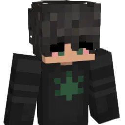 1______'s Minecraft skin
