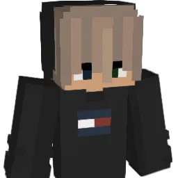 1andonlyNiko Minecraft avatar bust