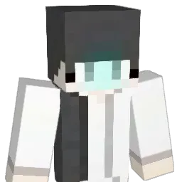 1banin0714 Minecraft avatar bust