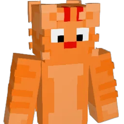 Hidspot's skin