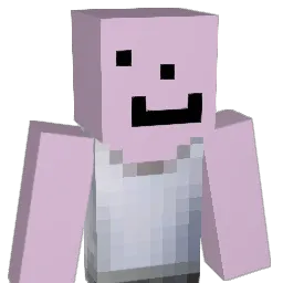 1enix Minecraft avatar bust