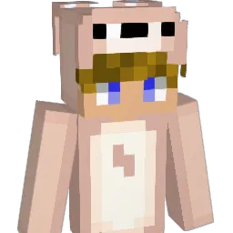 1er's Minecraft skin